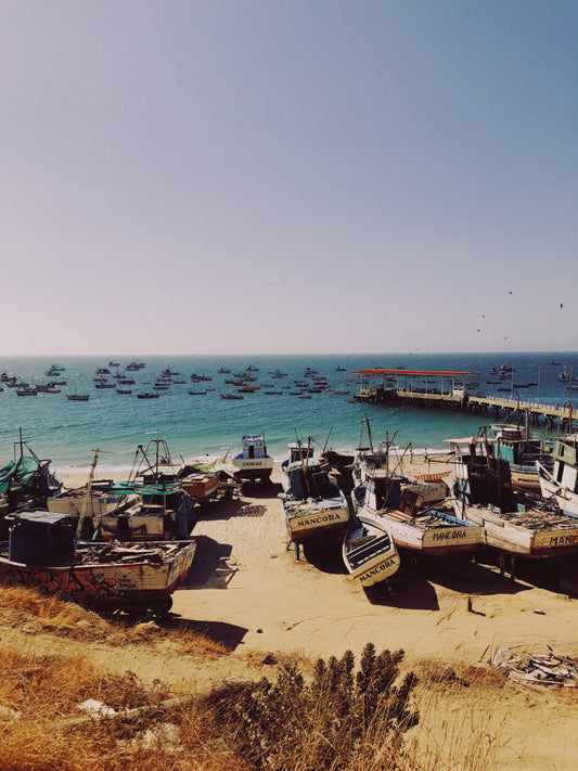 A Local's Guide to Lima, Peru